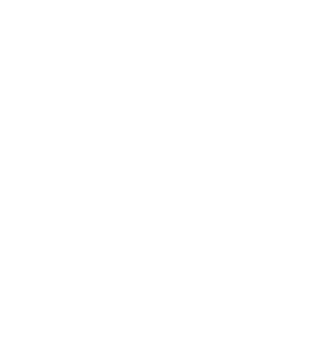 CoachFlow